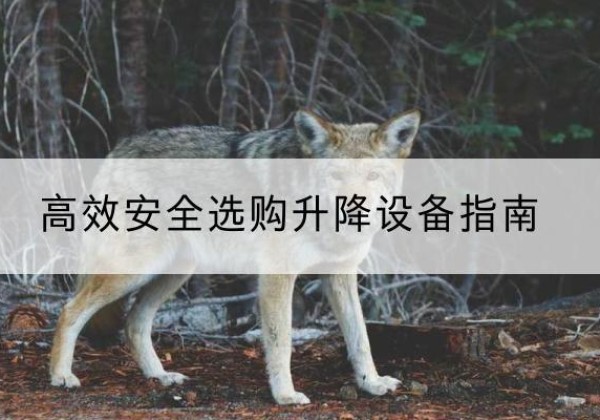 定结升降货梯厂家推荐-*安全选购升降设备指南