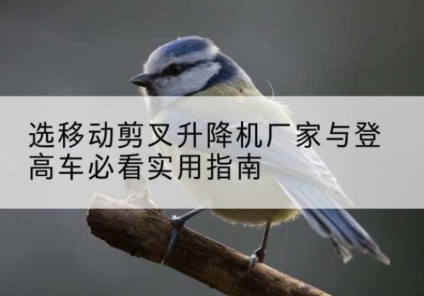 定结电动升降机厂家-选移动剪叉升降机厂家与登高车必看实用指南